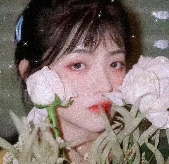 比佛利山庄的死去女人
